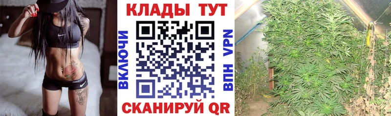 Купить закладку Бошки Шишки  Меф  Псилоцибиновые грибы  Гашиш  Нерехта