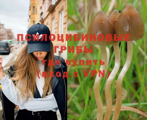 прущая мука Краснослободск
